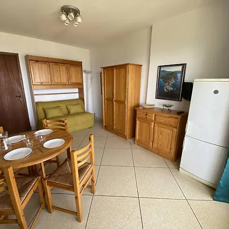 Au Lavandou Avec Terrasse Vue Et Parking - Fr-1-816-17 Апартаменты *