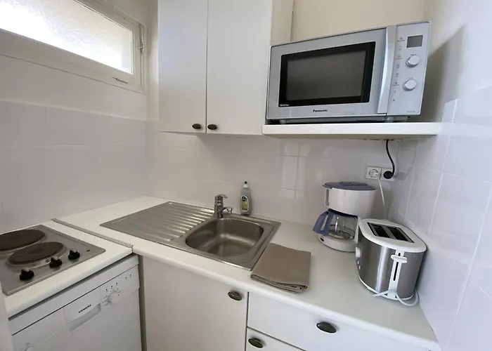 Au Lavandou Avec Terrasse Vue Et Parking - Fr-1-816-17 Le Lavandou