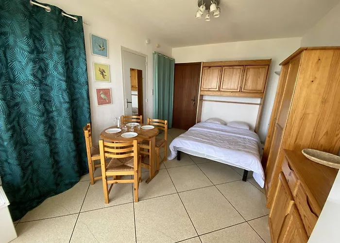 Au Lavandou Avec Terrasse Vue Et Parking - Fr-1-816-17 *